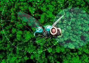 SCHAKO-cirkler-and-the-fly