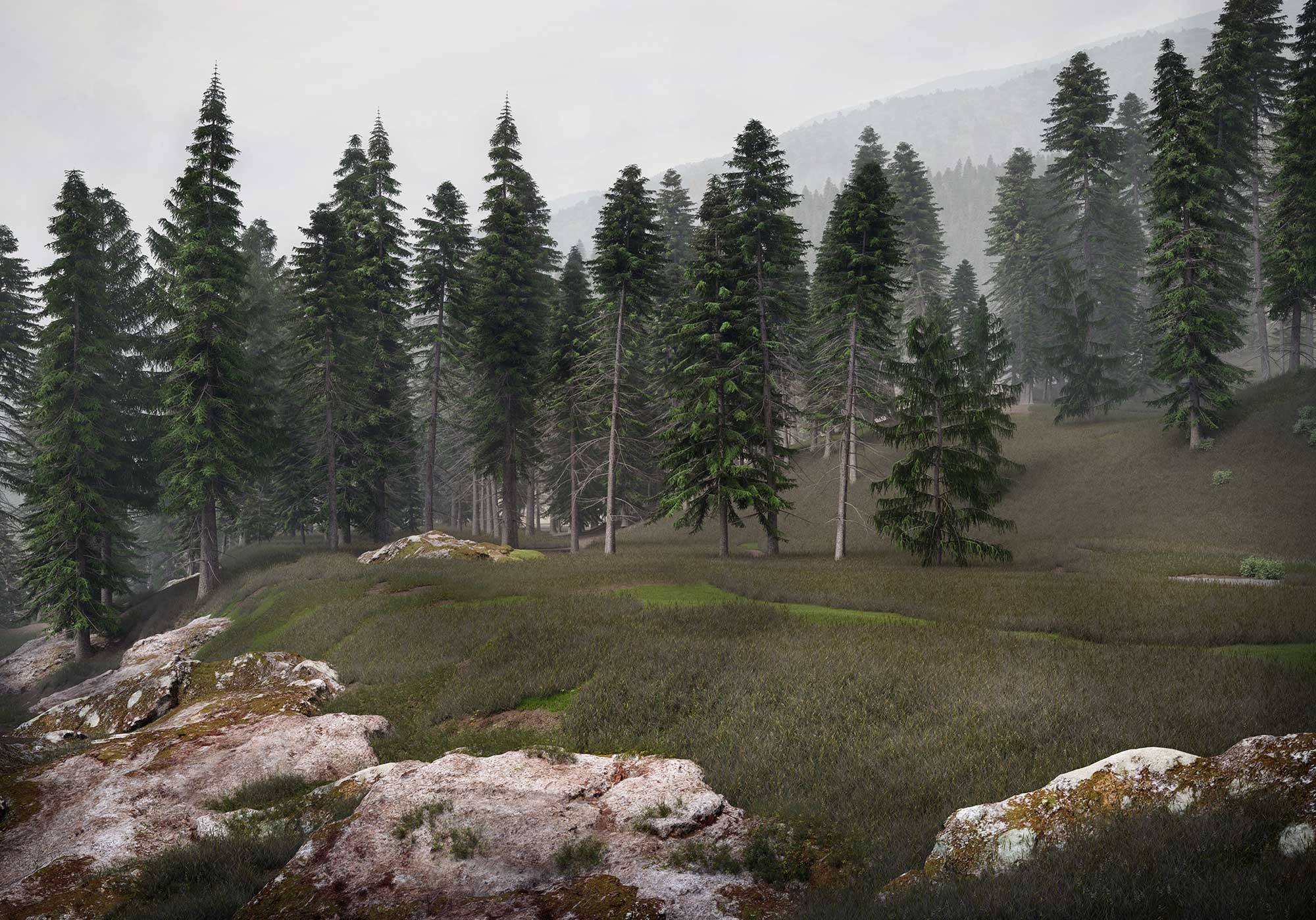 Nordbohus no house case story cadesign form