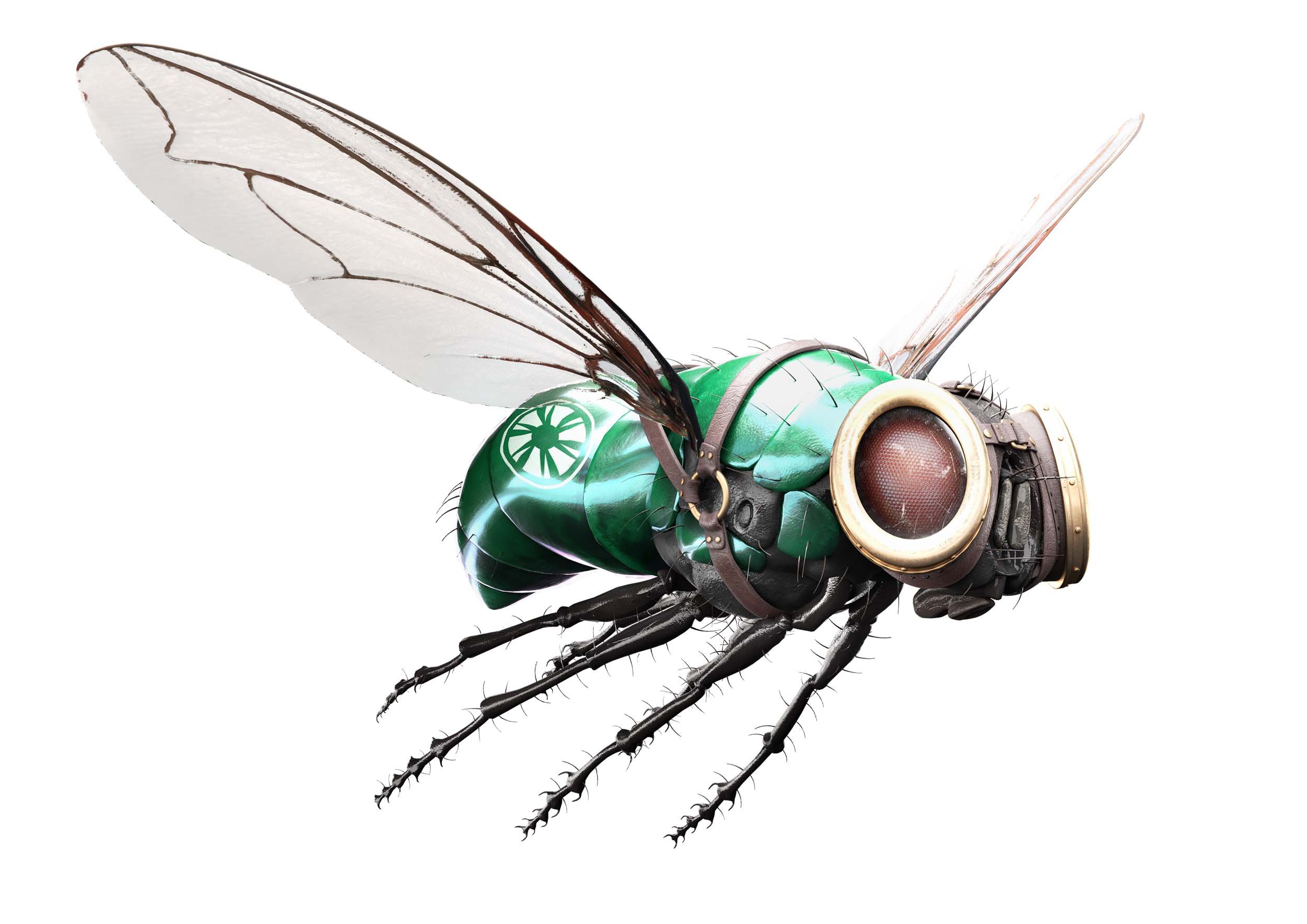 118174_NovencoFly_Still01 copy
