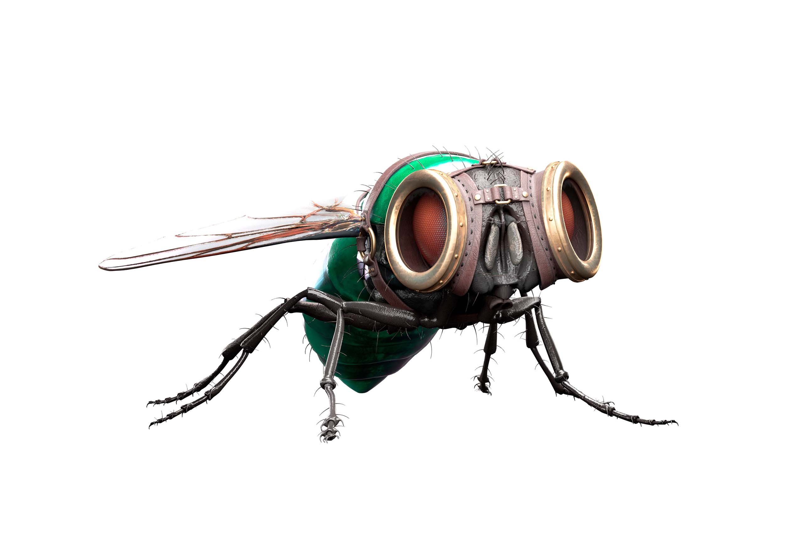 118174_NovencoFly_Still02-1